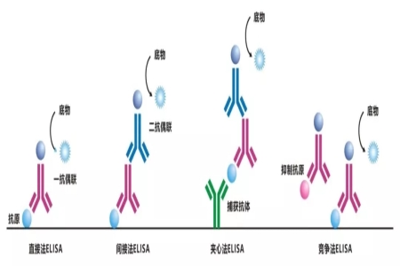 Elisa分析三种常见测定方法